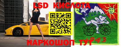 стаф Обь