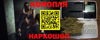 стаф Обь
