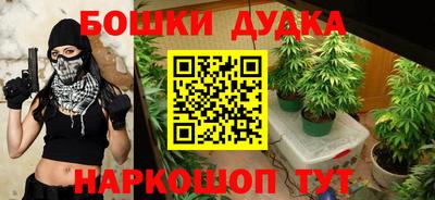 стаф Обь