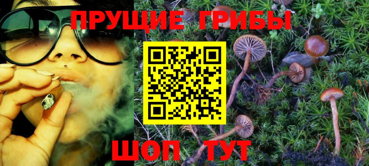 Похвистнево  Галлюциногенные грибы мухоморы  магазин  наркотиков  Вход с VPN 